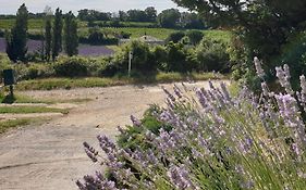 Le Clos du Grand Chêne